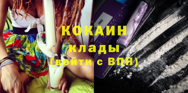 спайс Арсеньев