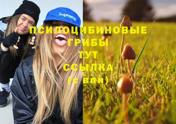 спайс Арсеньев
