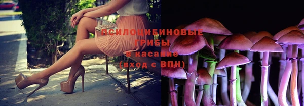 спайс Арсеньев
