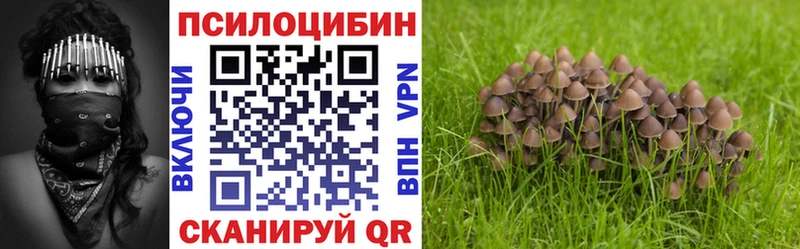 Галлюциногенные грибы Cubensis  хочу   blacksprut онион  Нязепетровск 